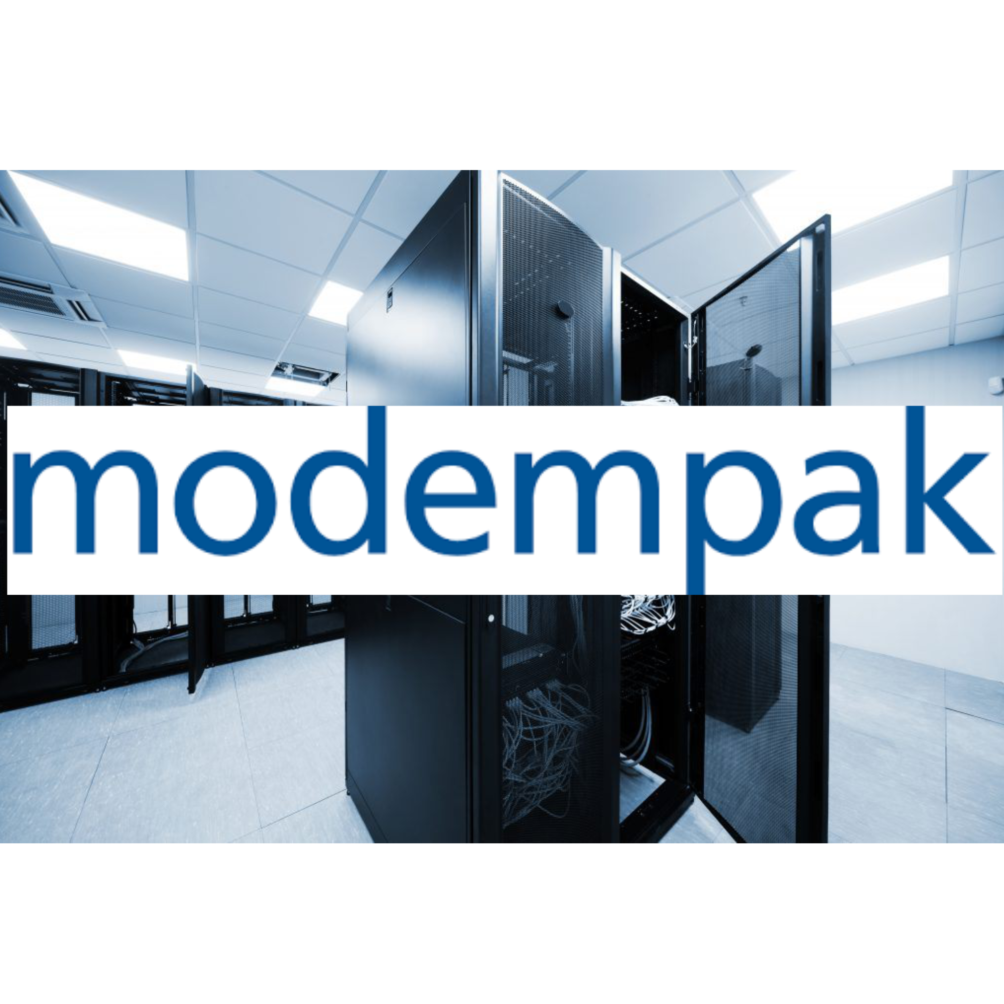 Data Cabinet Seismic Series | Essential Security Supplies