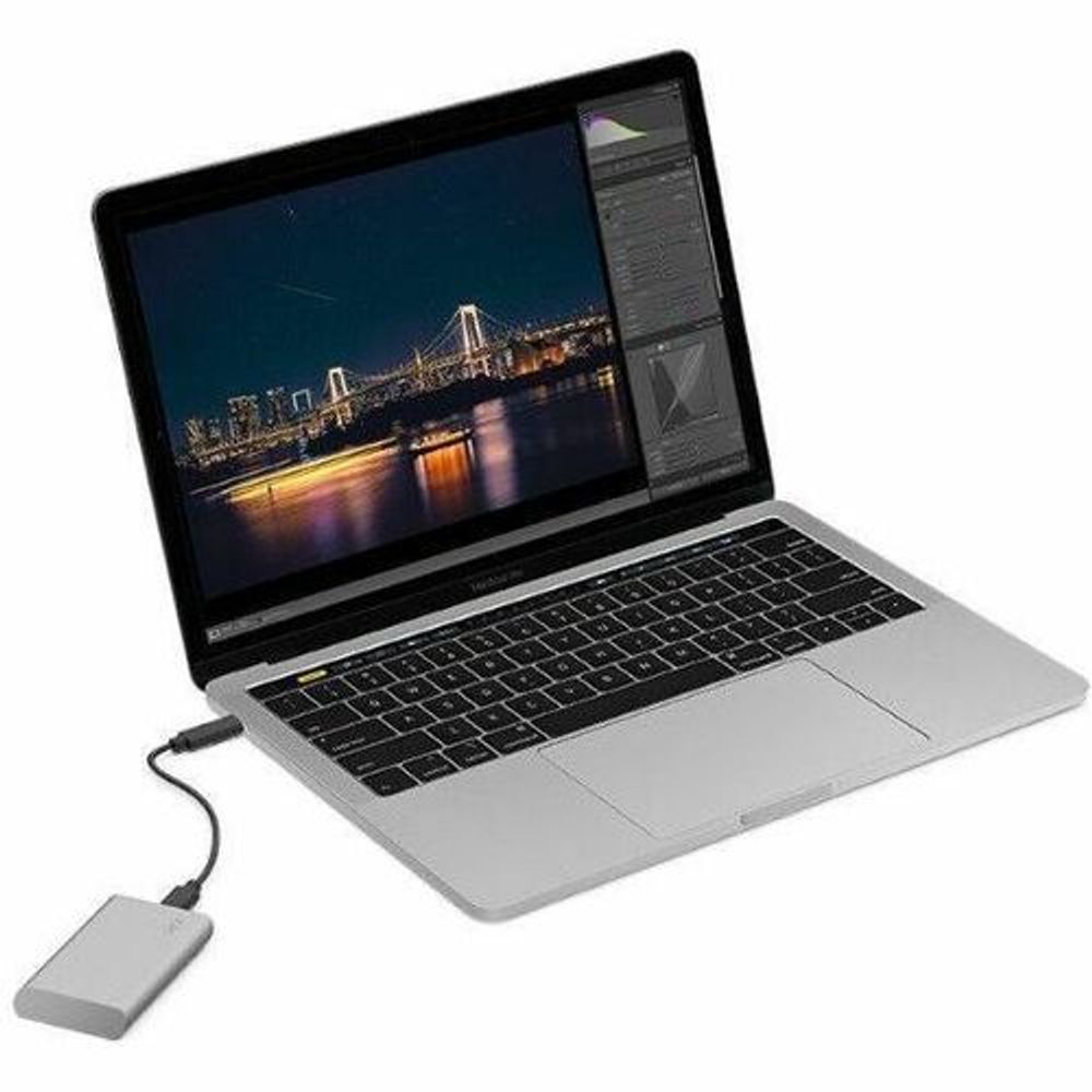 Seagate LaCie V2 STKS500400 500 GB Portable Solid State Drive - 2.5" External -