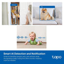 TL-TAPOC125 - TP-Link Tapo C125, AI Home Security Wi-Fi Camera
