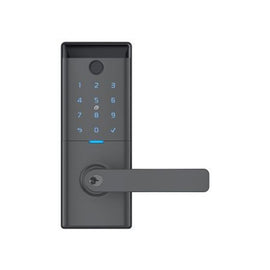 SREASC02G - Schlage Ascent Smart Entrance Lever - Graphite