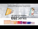 TH-50EQ2 - Panasonic 50-inch EQ2 Series - Professional 4K Displays-3