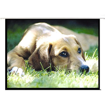 PRS100E - 100'' Electric Projector Screen with Remote. Easy Clean Matte White Screen Material. 4:3 Aspect Ratio. 160 Degree Viewing Angle. Dual Wall Ceiling Mount Design.