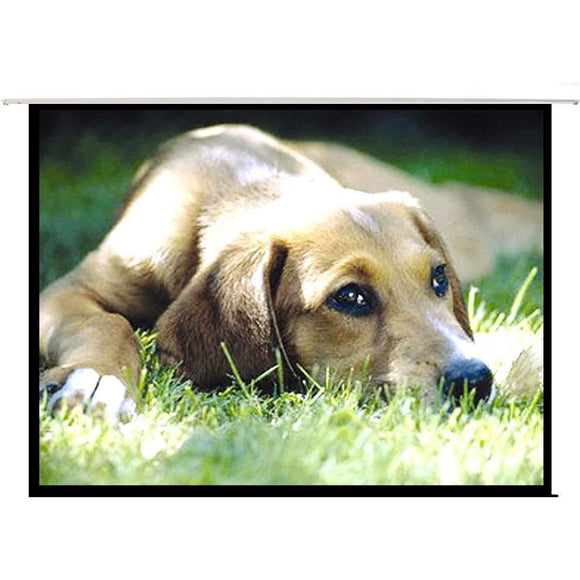 PRS100E - 100'' Electric Projector Screen with Remote. Easy Clean Matte White Screen Material. 4:3 Aspect Ratio. 160 Degree Viewing Angle. Dual Wall Ceiling Mount Design.