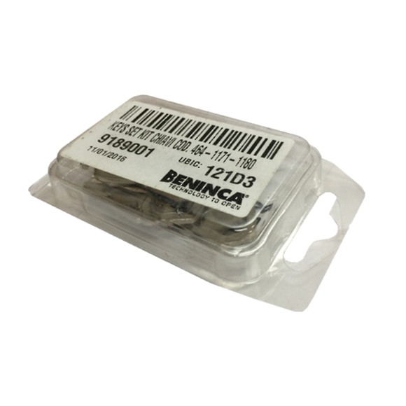 B-KEY - Master keys for Beninca motors from 1171 - 1180 (Pack of 10)