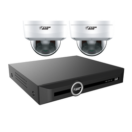 FERN360 Surveillance Kit - 2 Fixed Lens Starlight 4MP Vandal Dome Cameras and 10ch NVR 2TB HDD